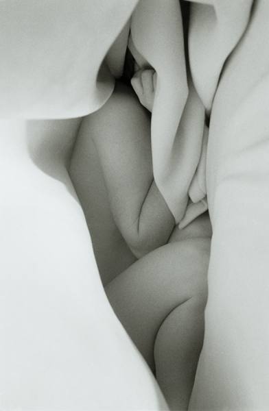 Photograph Daniel Taylor Blossoming on One Eyeland